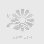 رضا امیری